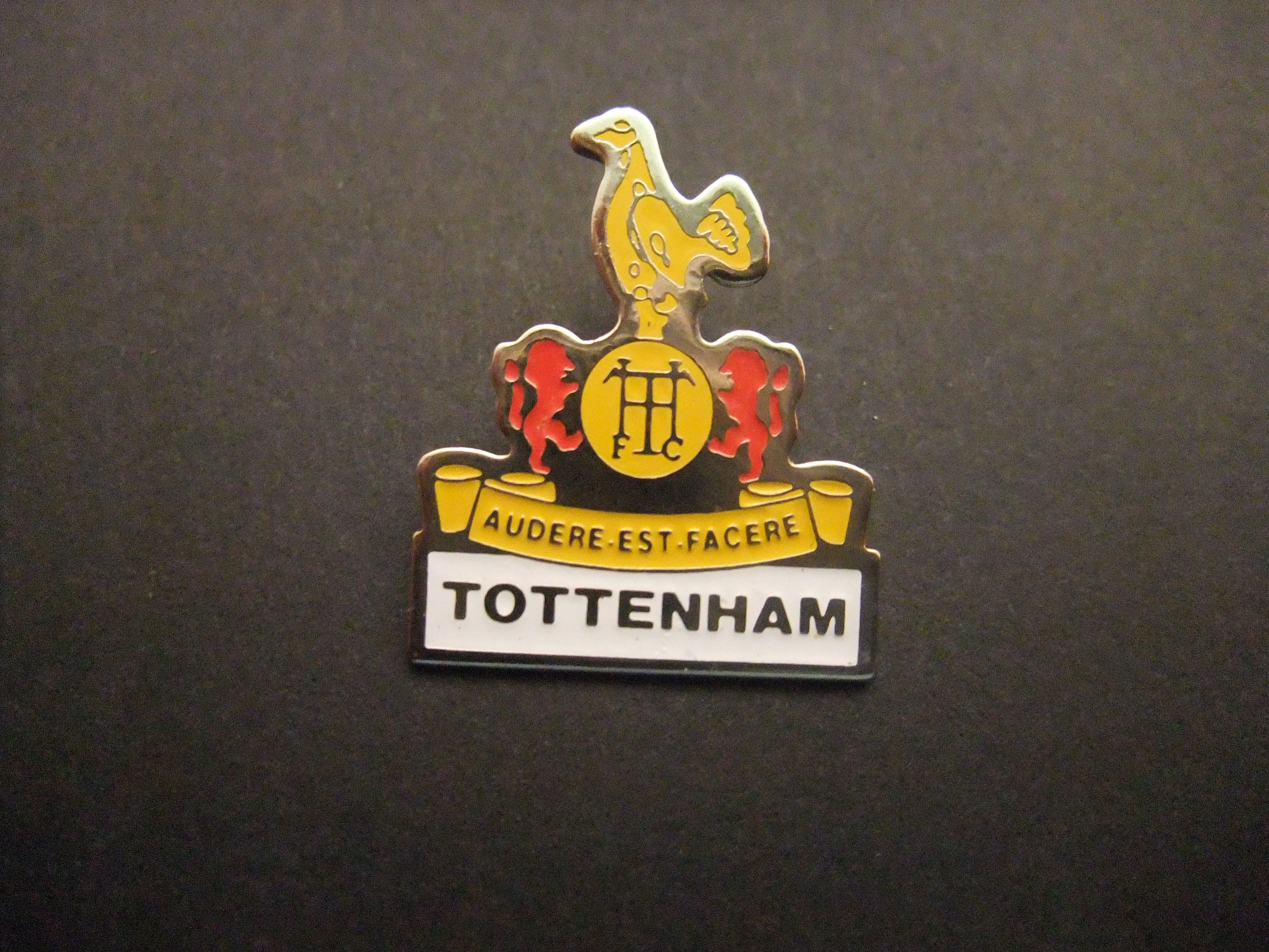Tottenham Hotspur Football Club ( Spurs, Tottenham)